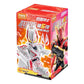 仮面ライダー 群星版 第6弾 パッケージデザイン 単品BOX ブラインドボックス BLOKEES 外箱イメージ